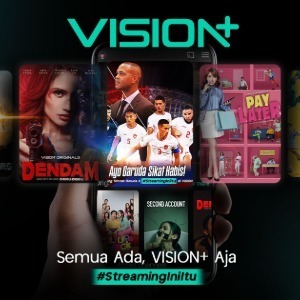 Logo Vision+